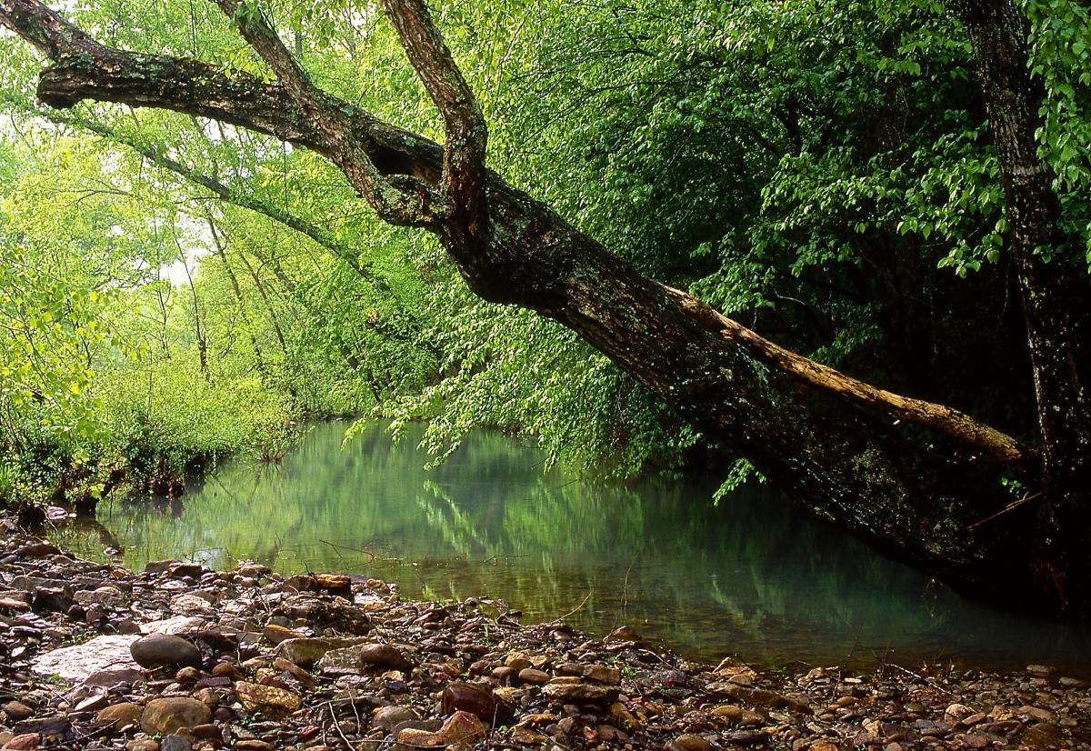 Mulberry River, Arkansas