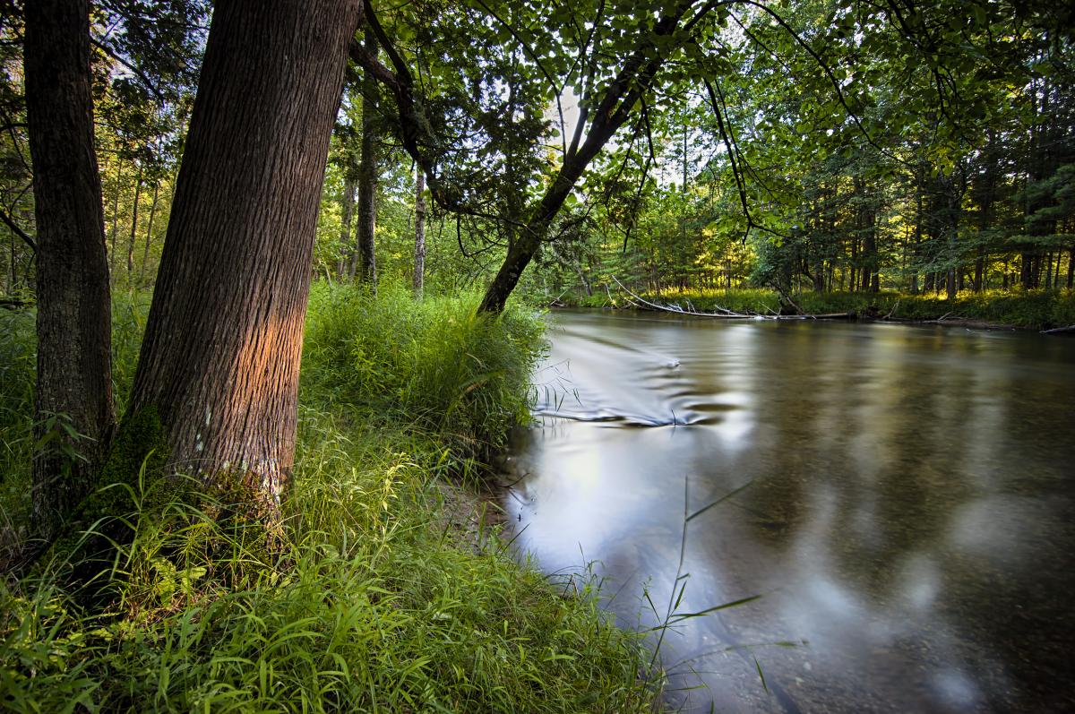 Pere Marquette River, Michigan