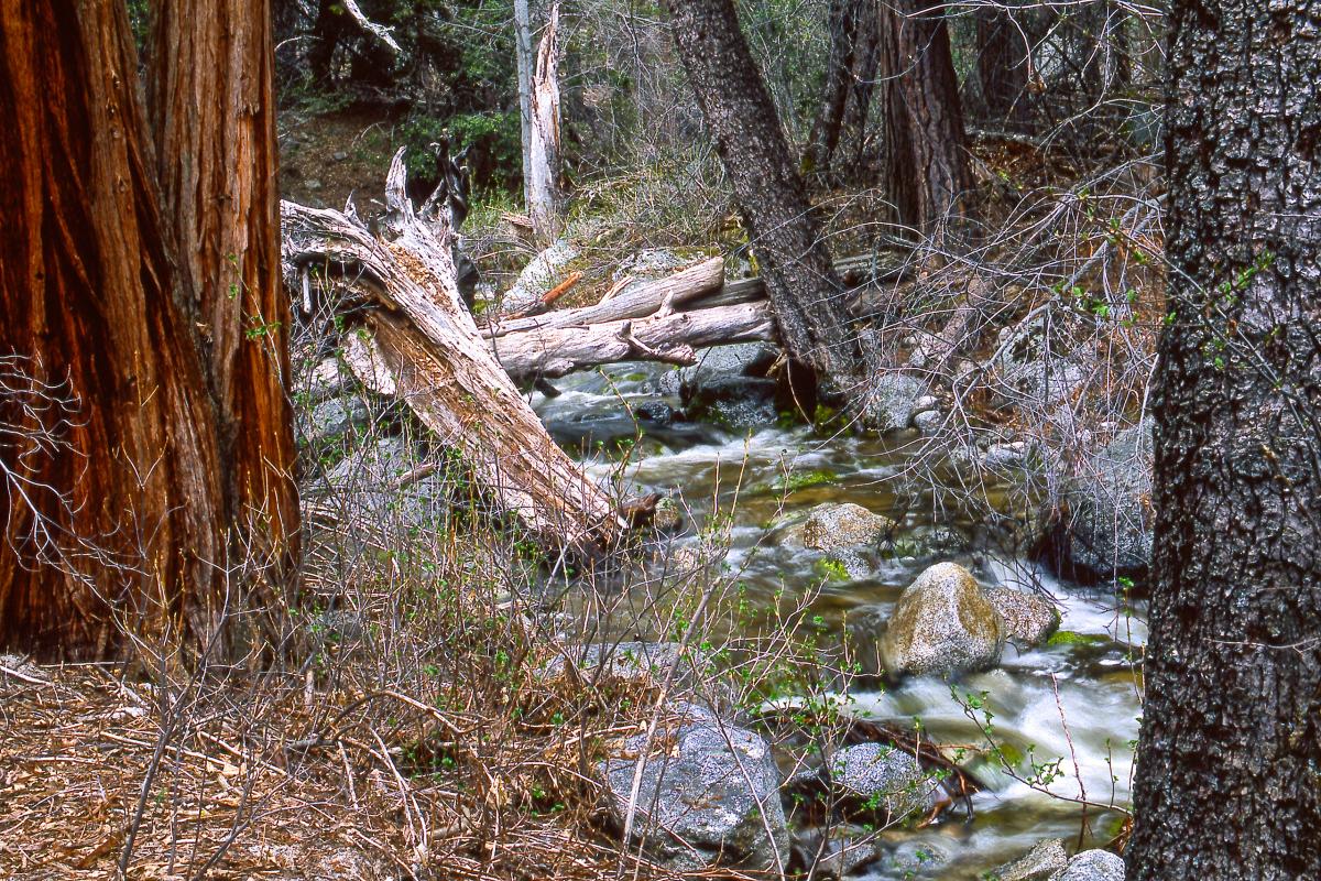 North Fork San Jacinto River, California