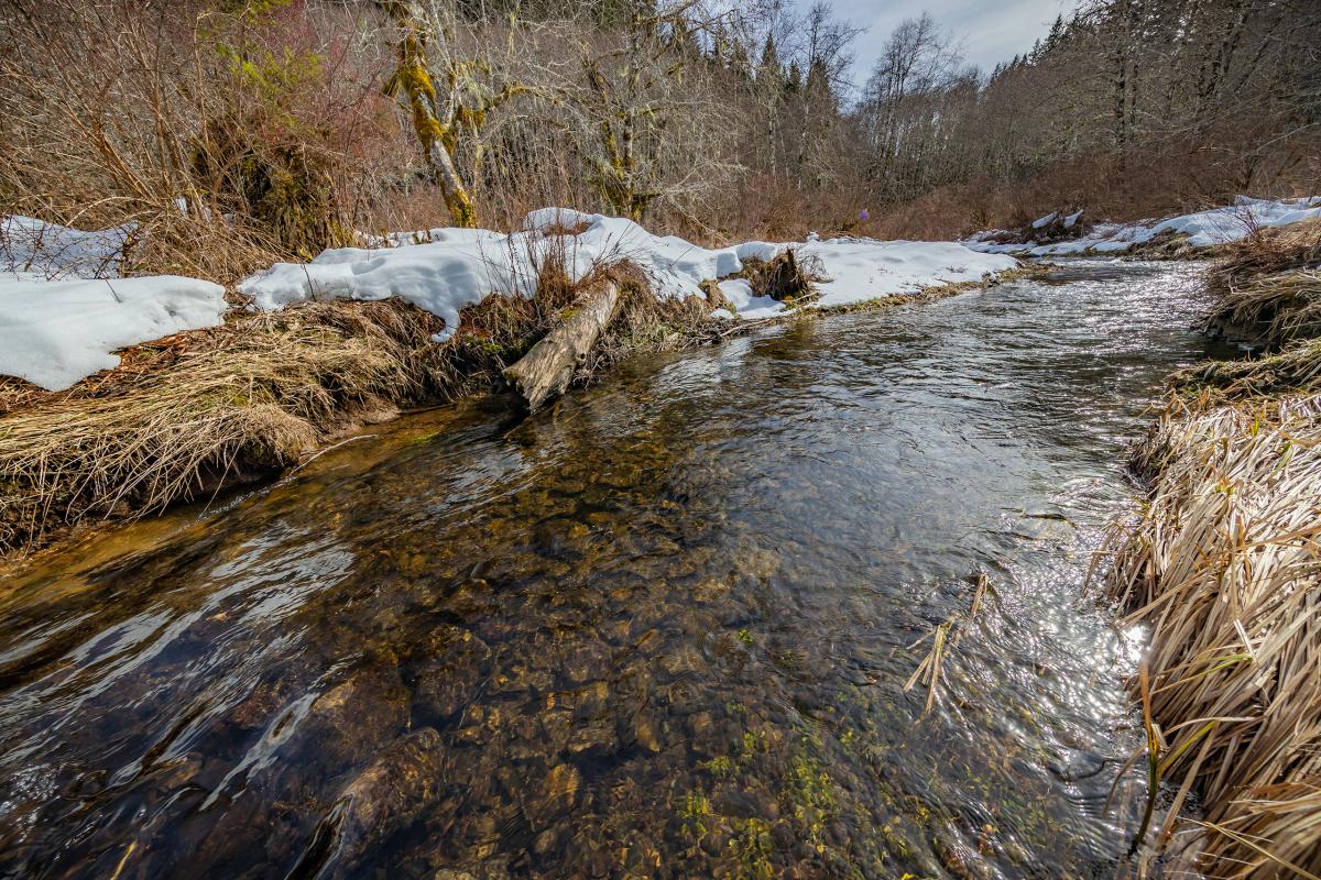 Walker Creek, Oregon