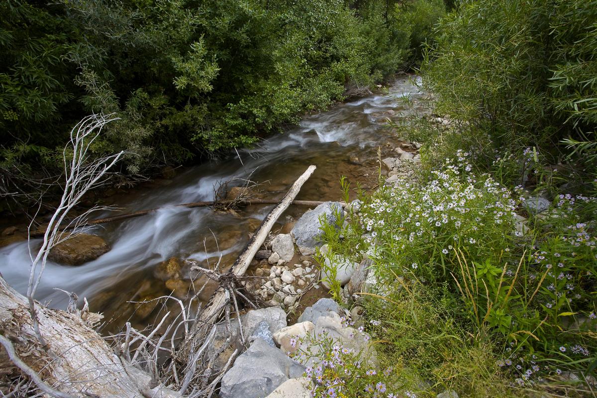 Wolf Creek, Wyoming