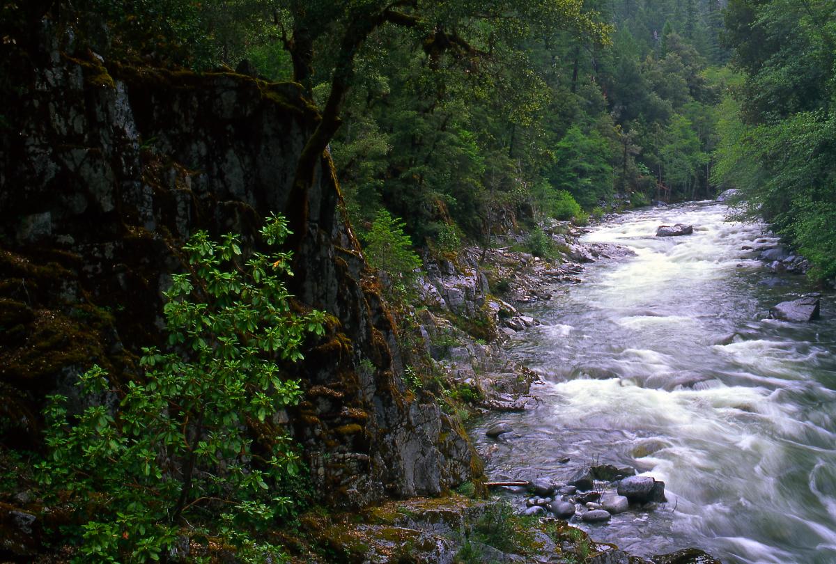 Wooley Creek, California