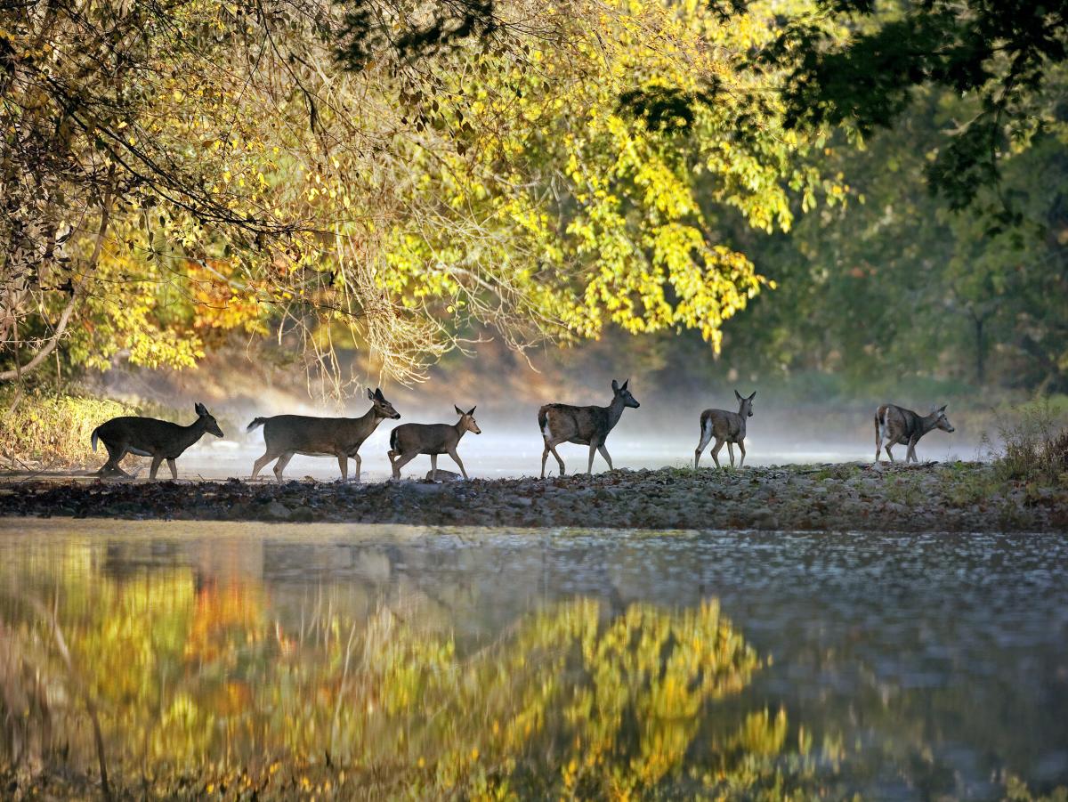 Big Darby Creek, Ohio