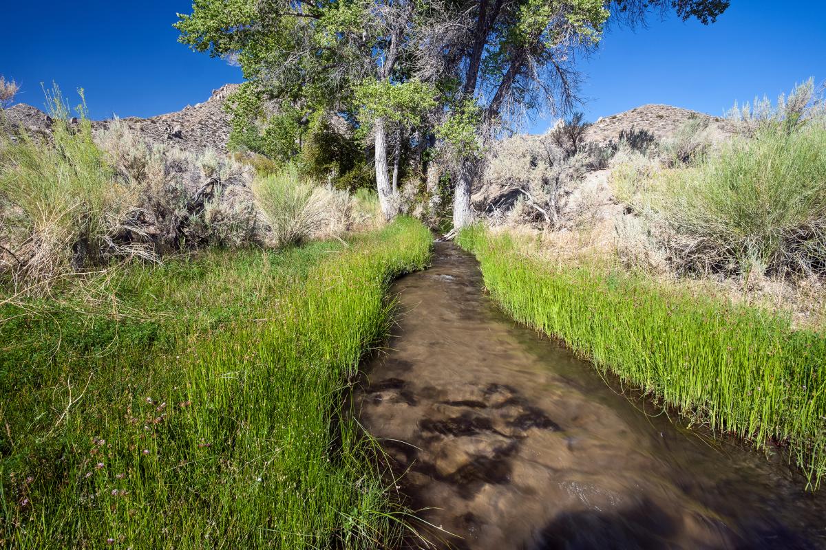 Cottonwood Creek, California