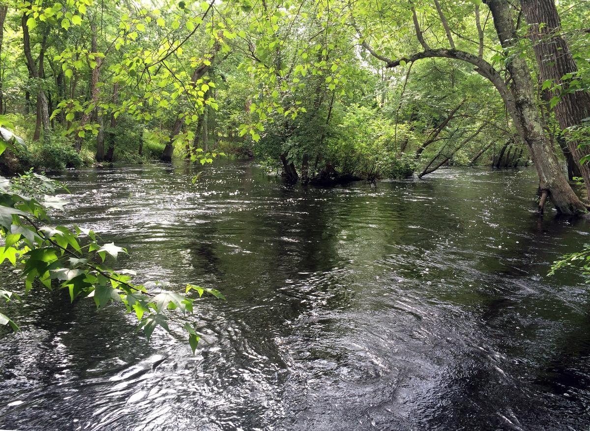 Great Egg Harbor River, New Jersey