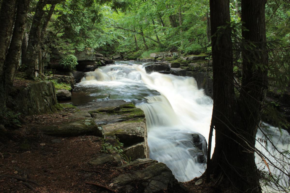 Big Salmon River, New York