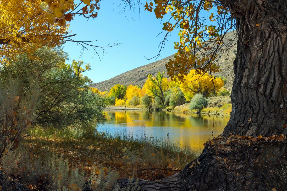 Carson River, Nevada