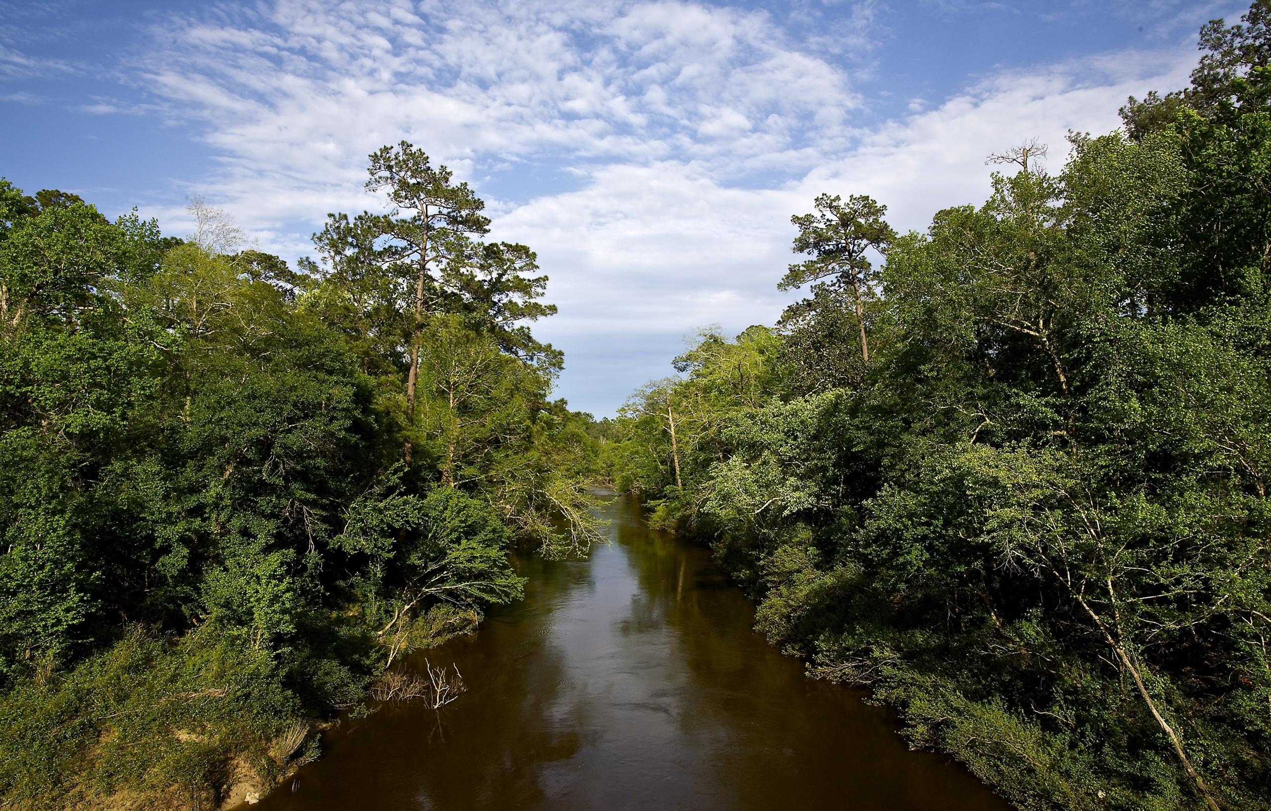 Black Creek | Rivers.gov
