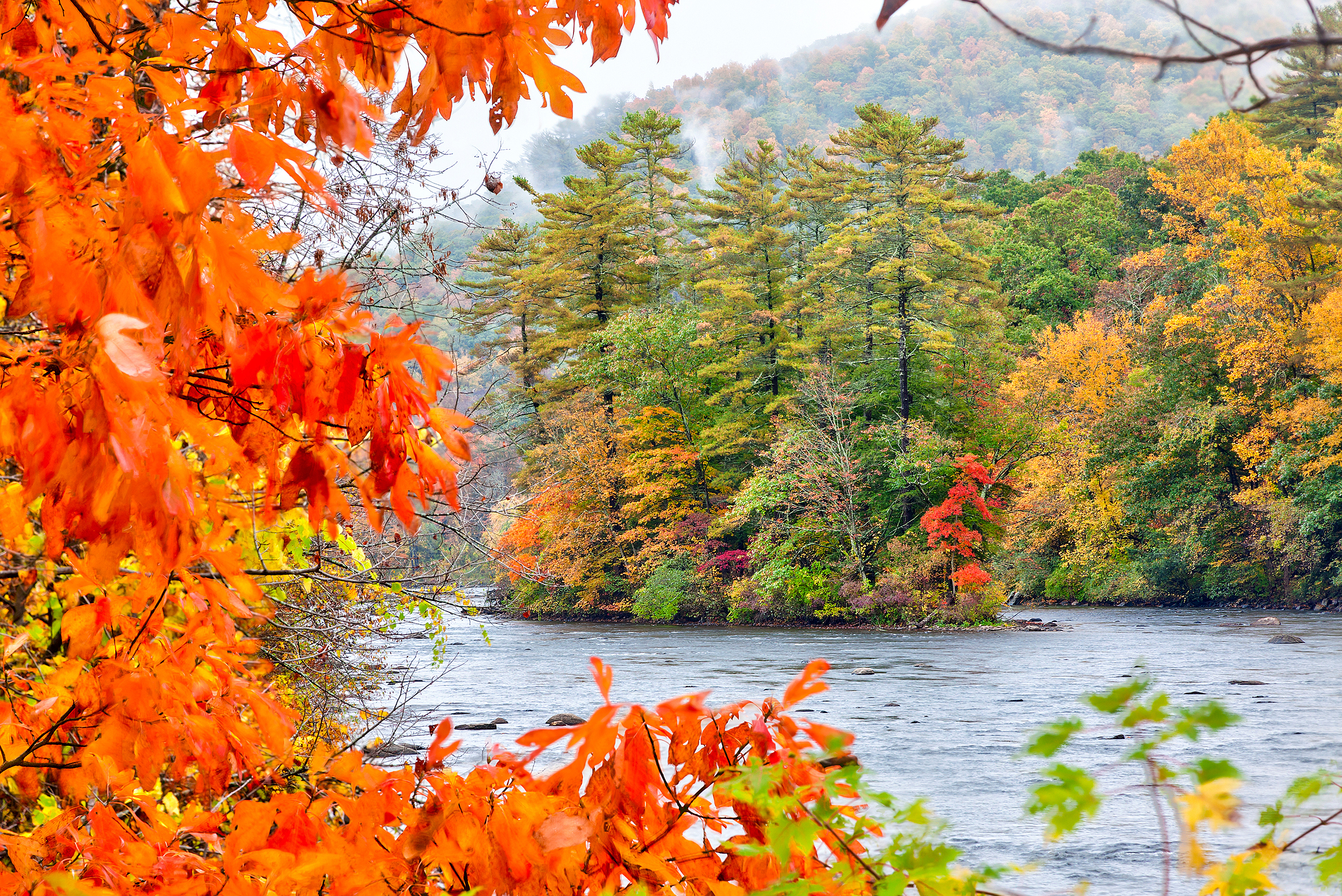 Fall definition. Потрясающая осень. Изумительная осень. Прелестная осень. Осень речка.