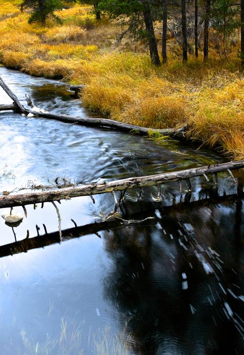 Big Marsh Creek, Oregon