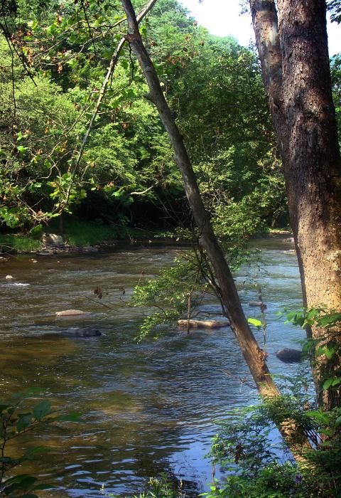 Bluestone River, West Virginia
