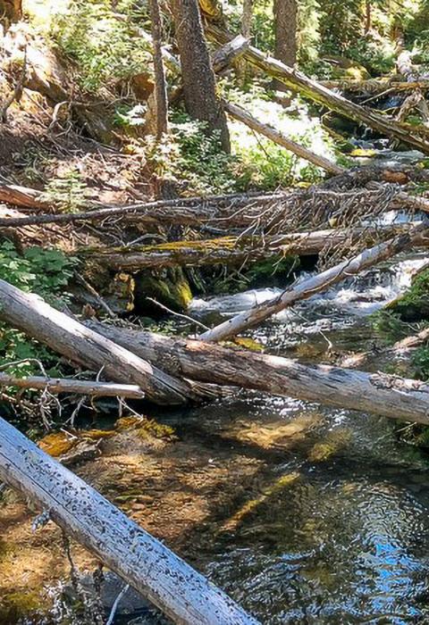 Fifteenmile Creek, Oregon