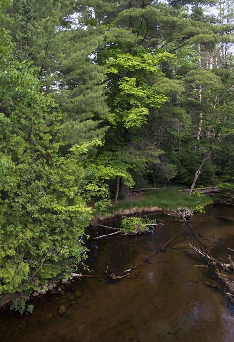 Indian River, Michigan