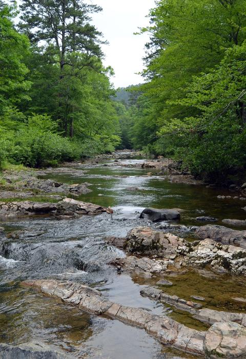 Little Missouri River, Arkansas