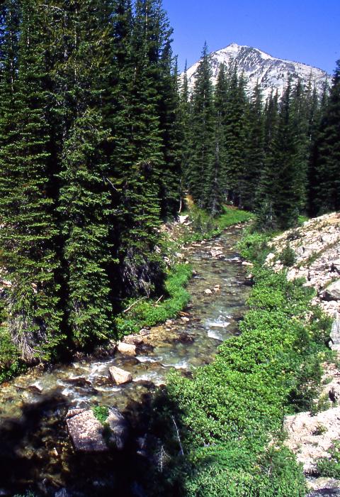 Lostine River, Oregon