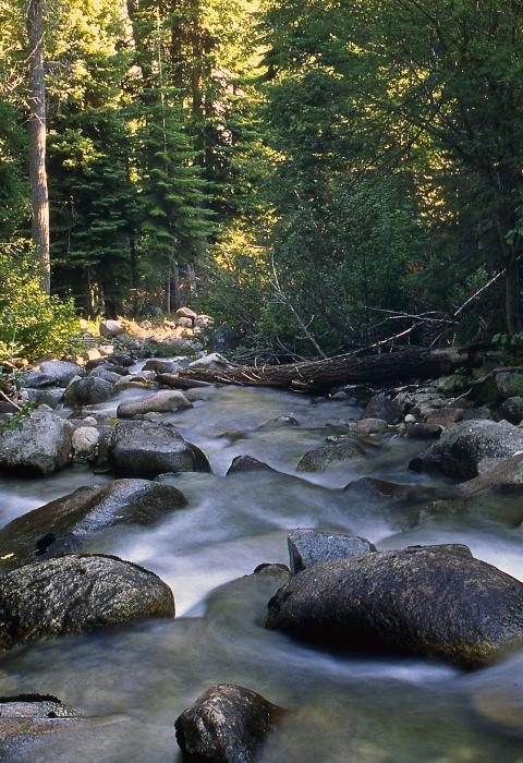 North Powder River, Oregon