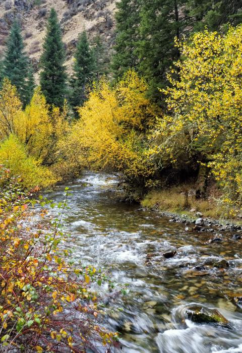 Rapid River, Idaho