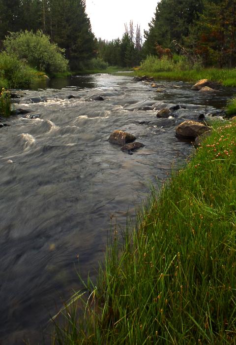North Fork Sprague River, Oregon