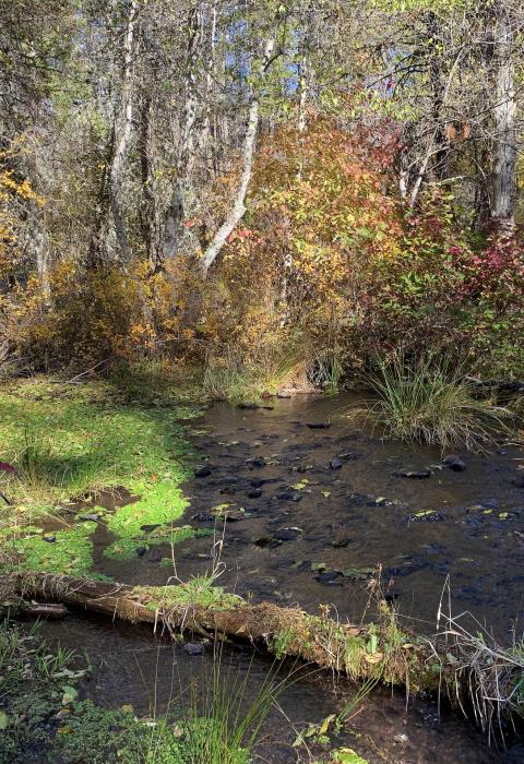 Spring Creek, Oregon