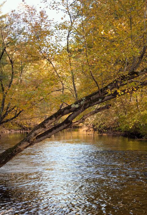 Squannacook River, Massachusetts & New Hampshire