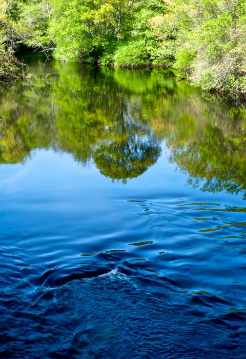 Taunton River, Massachusetts