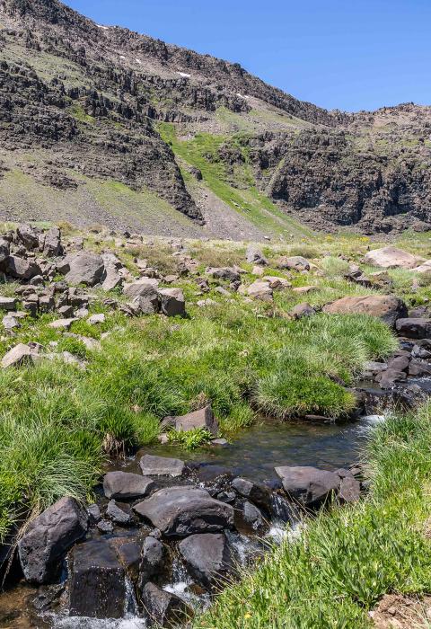 Wildhorse Creek, Oregon