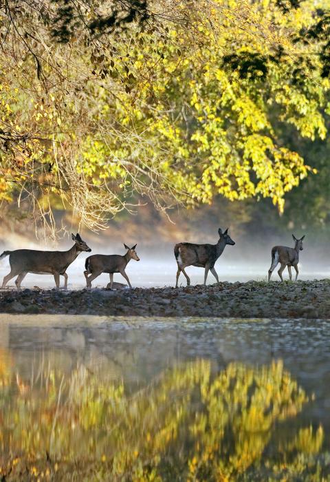 Big Darby Creek, Ohio