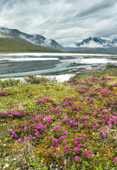 Ivishak River, Alaska