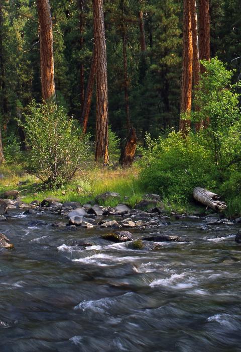 Malheur River, Oregon