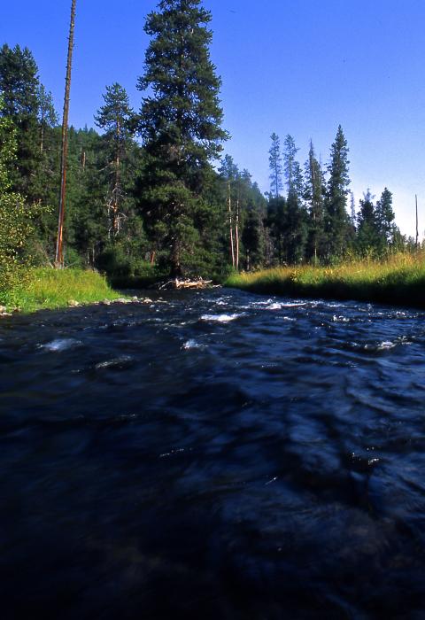 North Fork Malheur River, Oregon