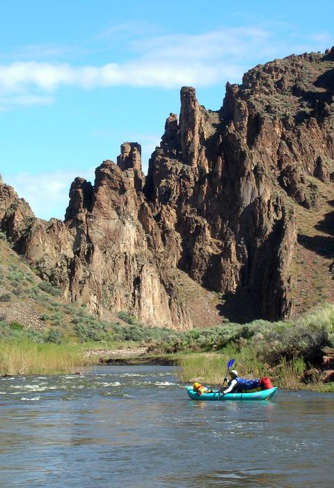 South Fork Owyhee River, Idaho