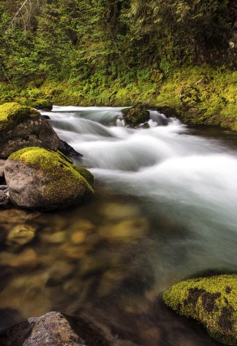 Quartzville Creek, Oregon