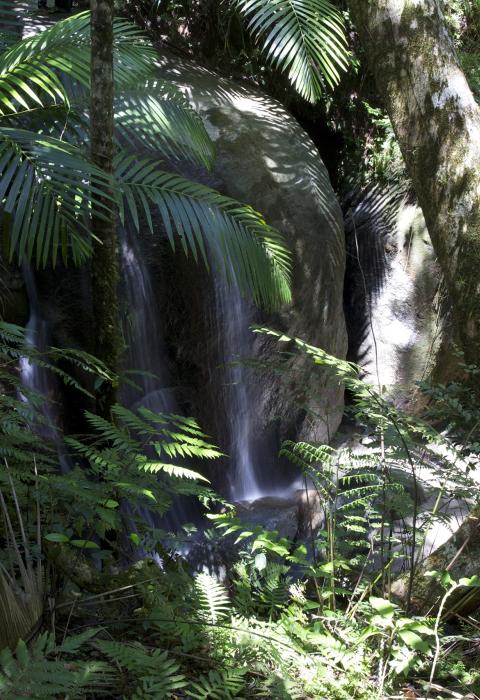 Rio Icacos, Puerto Rico