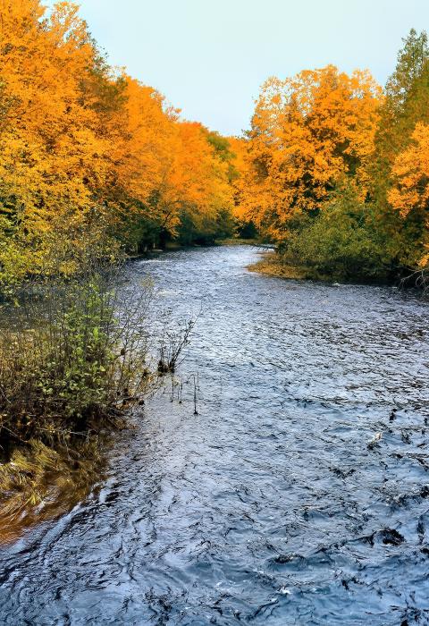 Whitefish River, Michigan