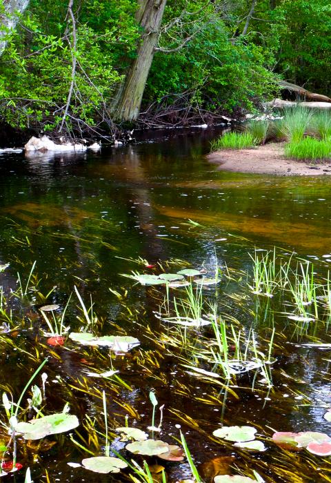 Manumuskin River, New Jersey