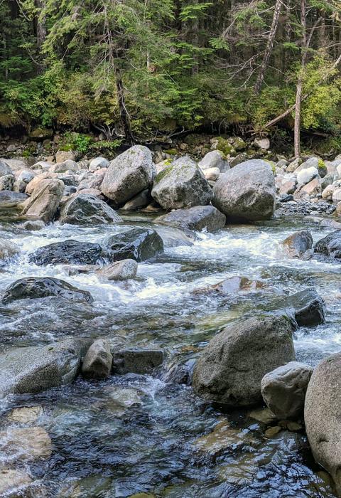 Pratt River, Washington