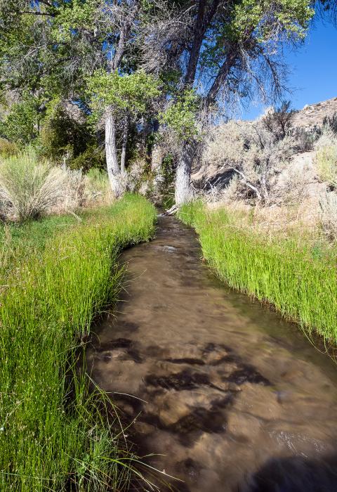 Cottonwood Creek, California