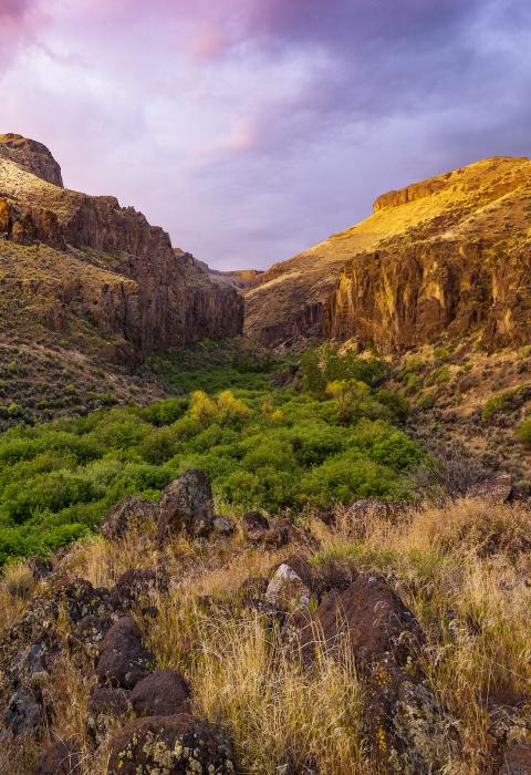 Little Jacks Creek, Idaho