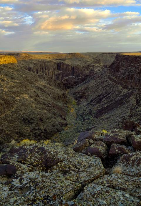 Wickahoney Creek, Idaho