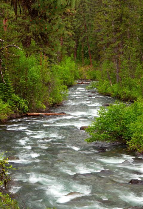 Imnaha River, Oregon