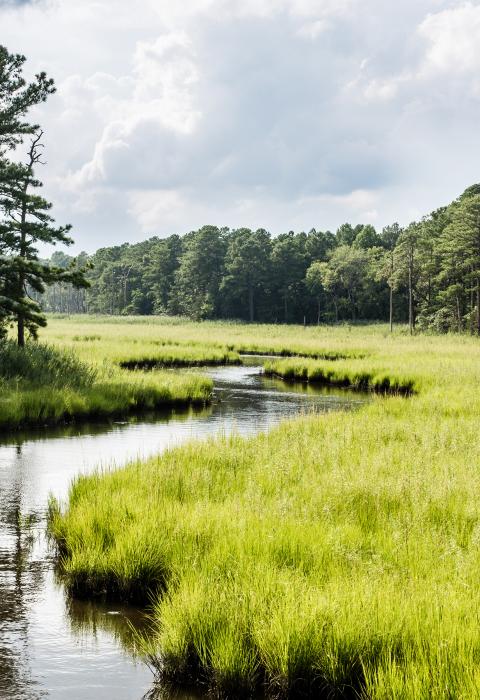 Duck Creek