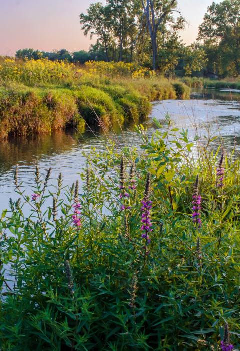 Nippersink Creek, Illinois