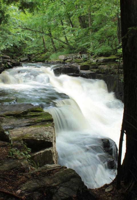 Big Salmon River, New York