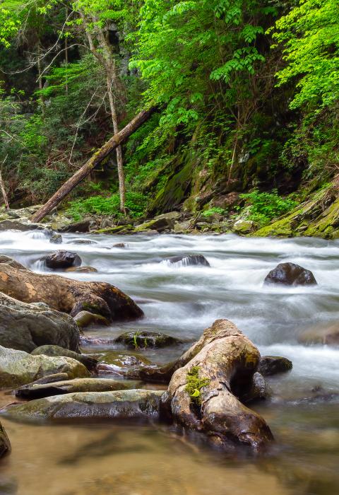 Nantahala River, North Carolina