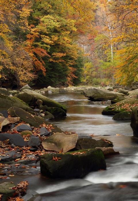 Aurora Branch Chagrin River, Ohio