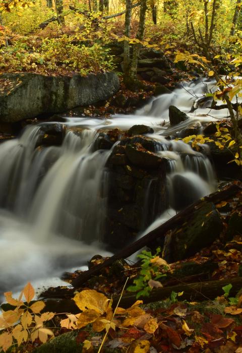 Brandy Brook, Rhode Island