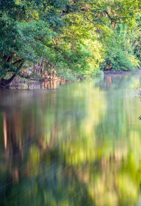 Edisto River, South Carolina