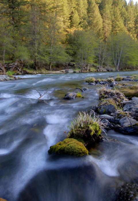 Trinity River, California