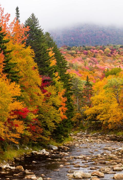 Deerfield River, Vermont