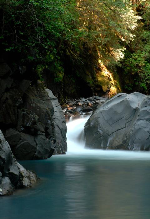 South Fork Hoh River, Washington